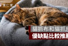 沙發材質挑選：貓抓布和貓抓皮，優缺點比較推薦