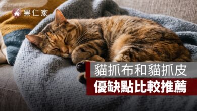 沙發材質挑選：貓抓布和貓抓皮，優缺點比較推薦