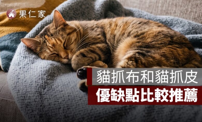 沙發材質挑選：貓抓布和貓抓皮，優缺點比較推薦