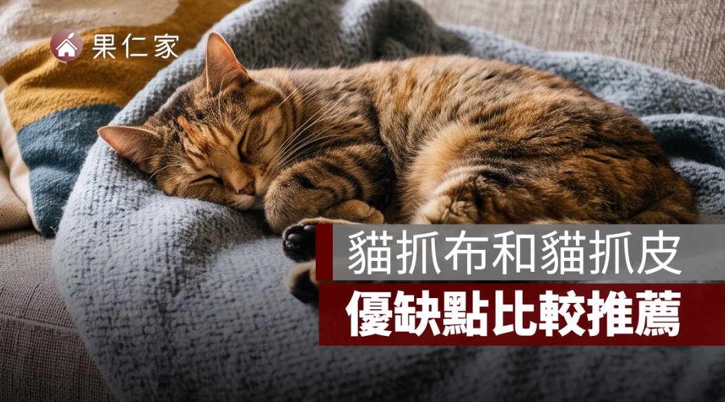 沙發材質挑選：貓抓布和貓抓皮，優缺點比較推薦