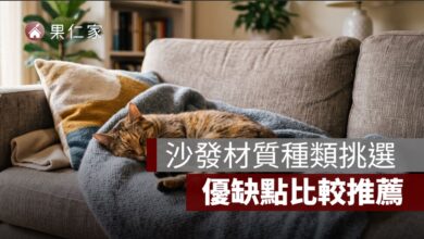沙發材質種類挑選：貓抓皮、布沙發、皮沙發、貓抓布優缺點
