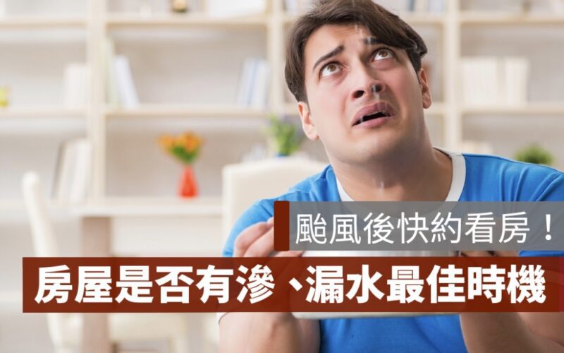 漏水,颱風看房