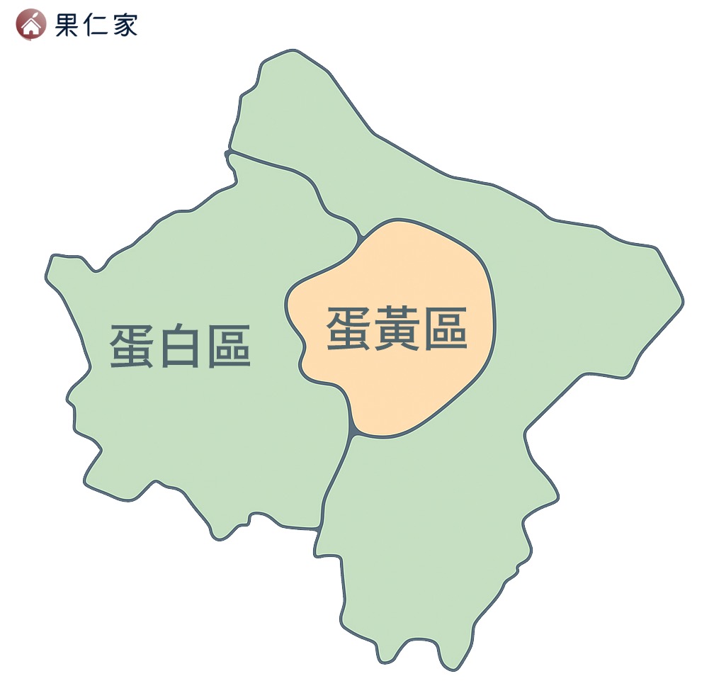 蛋白區,蛋黃區示意圖