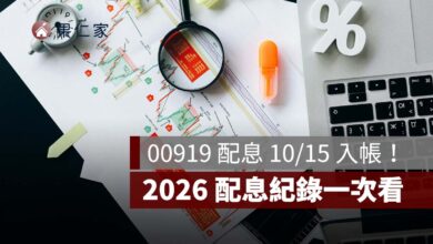 00919 配息 10/15 入帳!1 張領 1,100 元、10 張領 1.1 萬,2026 配息紀錄一次看