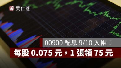 00900 配息 9/10 入帳！每股 0.075 元，1 張領 75 元、下一次除息時間一次看