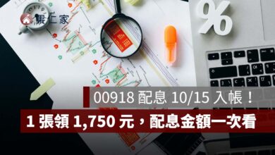 00918 配息 10/15 入帳！1 張領 1,750 元、10 張 1.75 萬，配息金額一次看